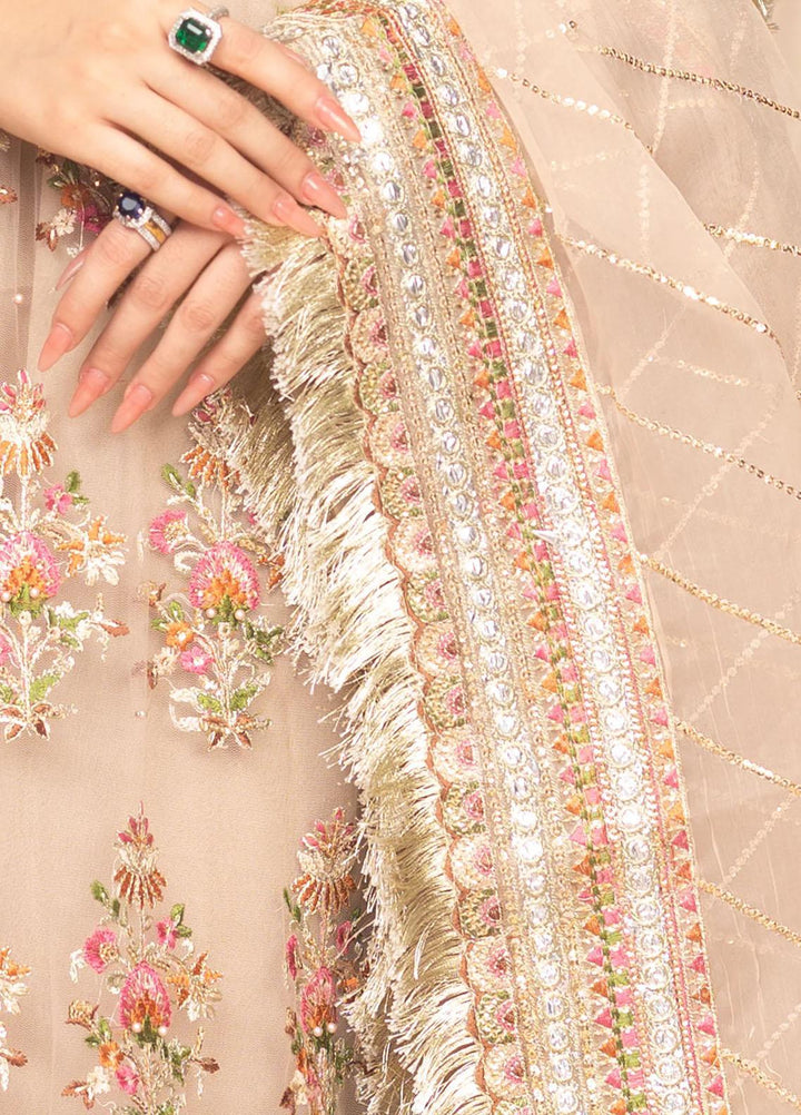 Shaadi Biyaah By Insiya Embroidered Net Suits Unstitched 4 Piece INS23SB-S3 D5 - Wedding Collection