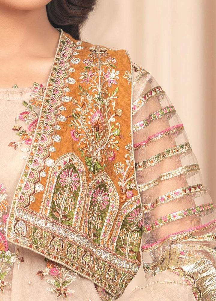 Shaadi Biyaah By Insiya Embroidered Net Suits Unstitched 4 Piece INS23SB-S3 D5 - Wedding Collection