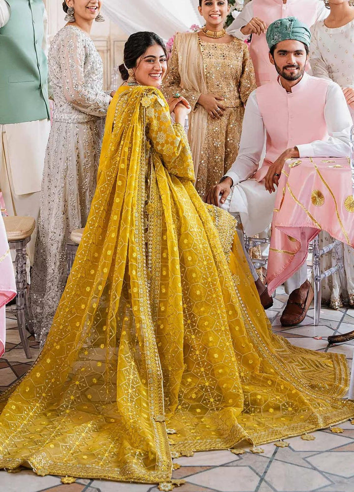 Shadmani By Akbar Aslam Embroidered Organza Suits Unstitched 4 Piece AA23SH Meena - Luxury Collection