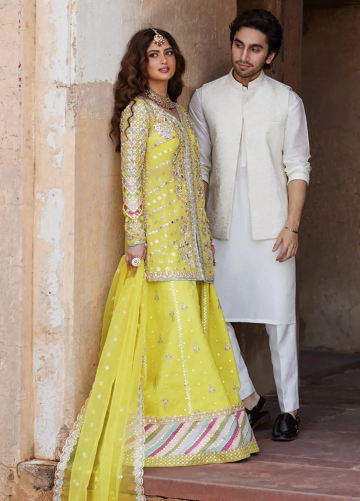 Shadmani by Qalamkar Embroidered Cotton Net Suits Unstitched 3 Piece QLM24SM Dania - Formals Collection