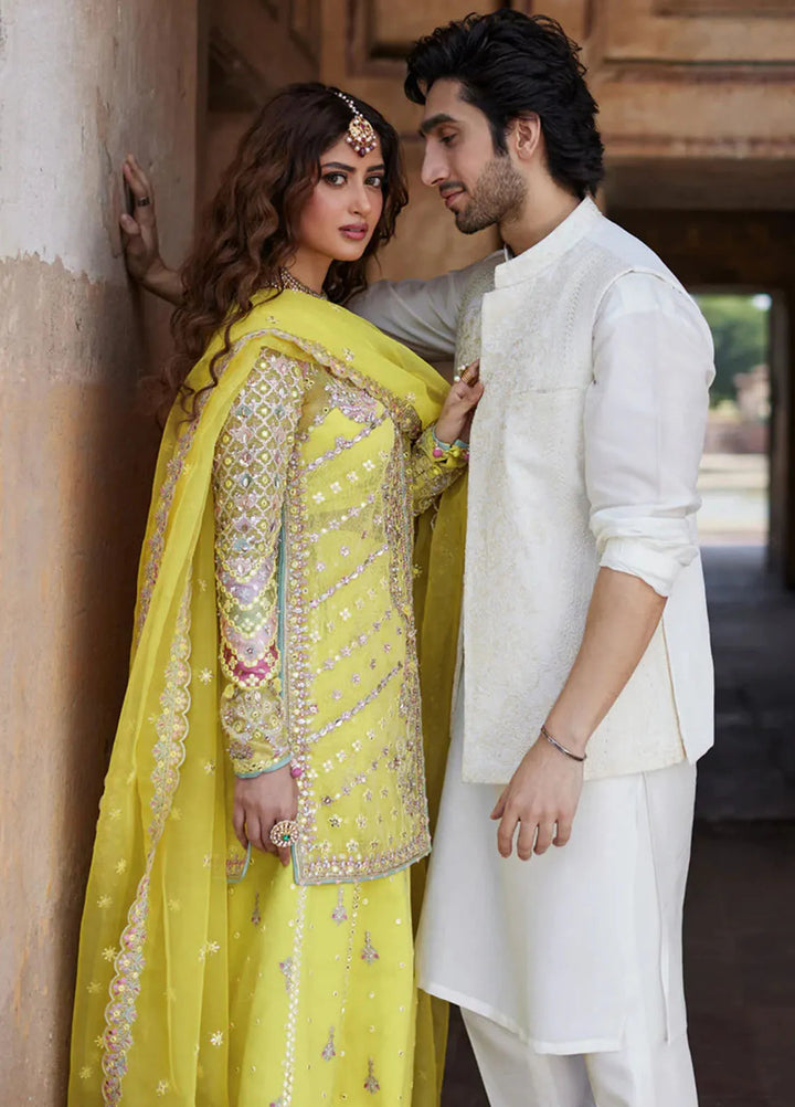 Shadmani by Qalamkar Embroidered Cotton Net Suits Unstitched 3 Piece QLM24SM Dania - Formals Collection