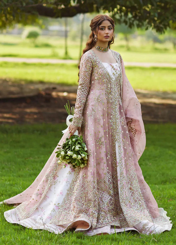 Shadmani by Qalamkar Embroidered Organza Suits Unstitched 3 Piece QLM24SM Saira - Formals Collection