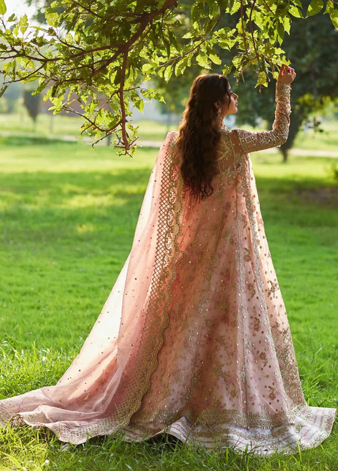 Shadmani by Qalamkar Embroidered Organza Suits Unstitched 3 Piece QLM24SM Saira - Formals Collection