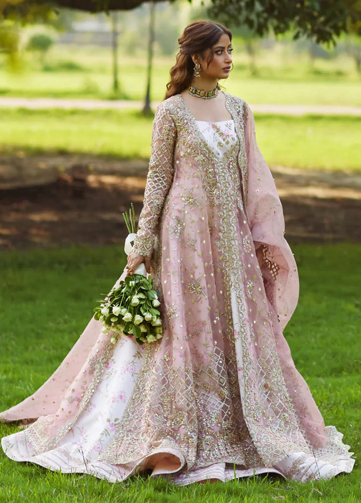 Shadmani by Qalamkar Embroidered Organza Suits Unstitched 3 Piece QLM24SM Saira - Formals Collection