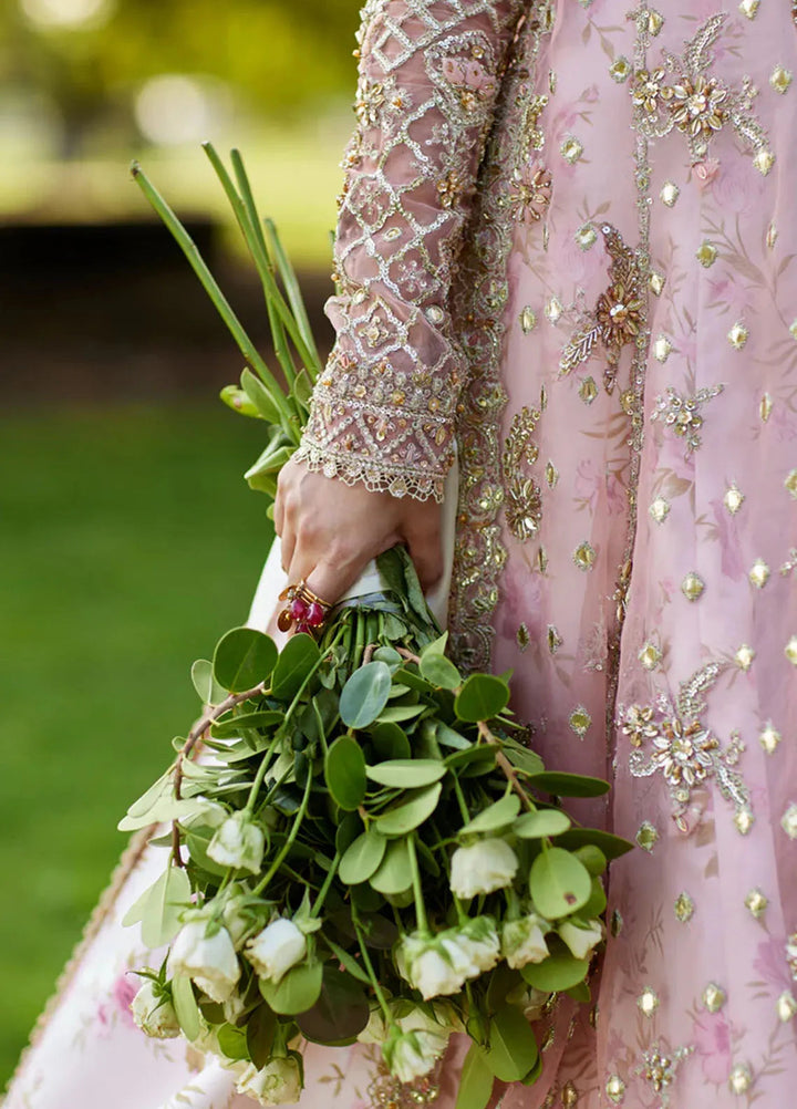 Shadmani by Qalamkar Embroidered Organza Suits Unstitched 3 Piece QLM24SM Saira - Formals Collection