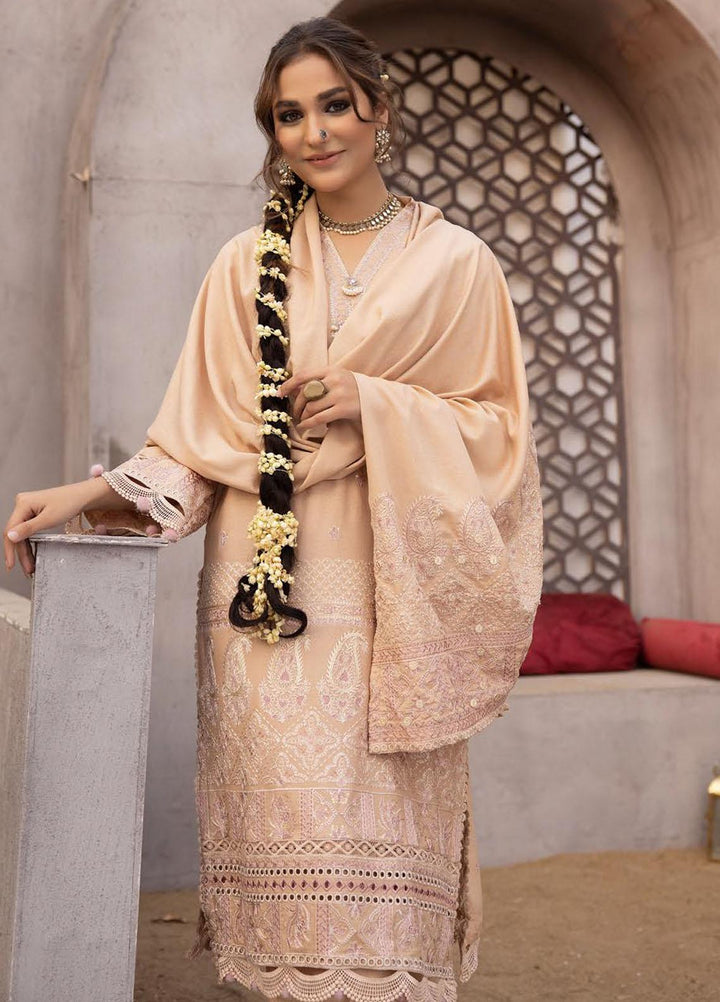Shadow Stapel by Aalaya Embroidered Karandi Suits Unstitched 3 Piece ALY22SS D-02 - Winter Collection