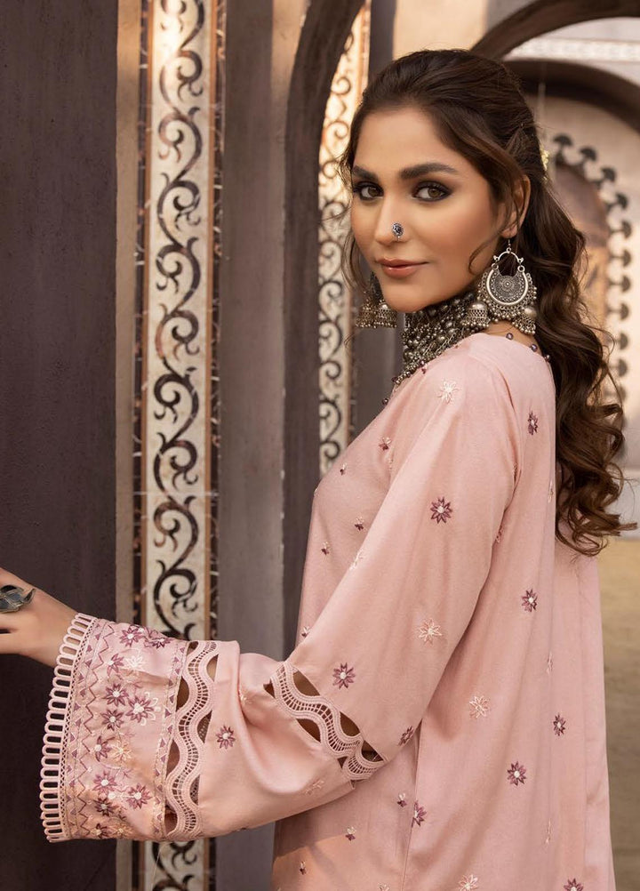 Shadow Stapel by Aalaya Embroidered Karandi Suits Unstitched 3 Piece ALY22SS D-05 - Winter Collection