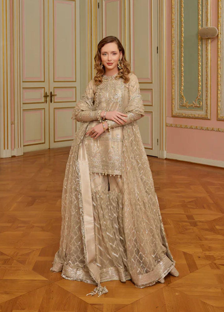 Shagun Imroz By Gisele Embroidered Net Suits Unstitched 3 Piece GL22SI Shafaq - Wedding Collection