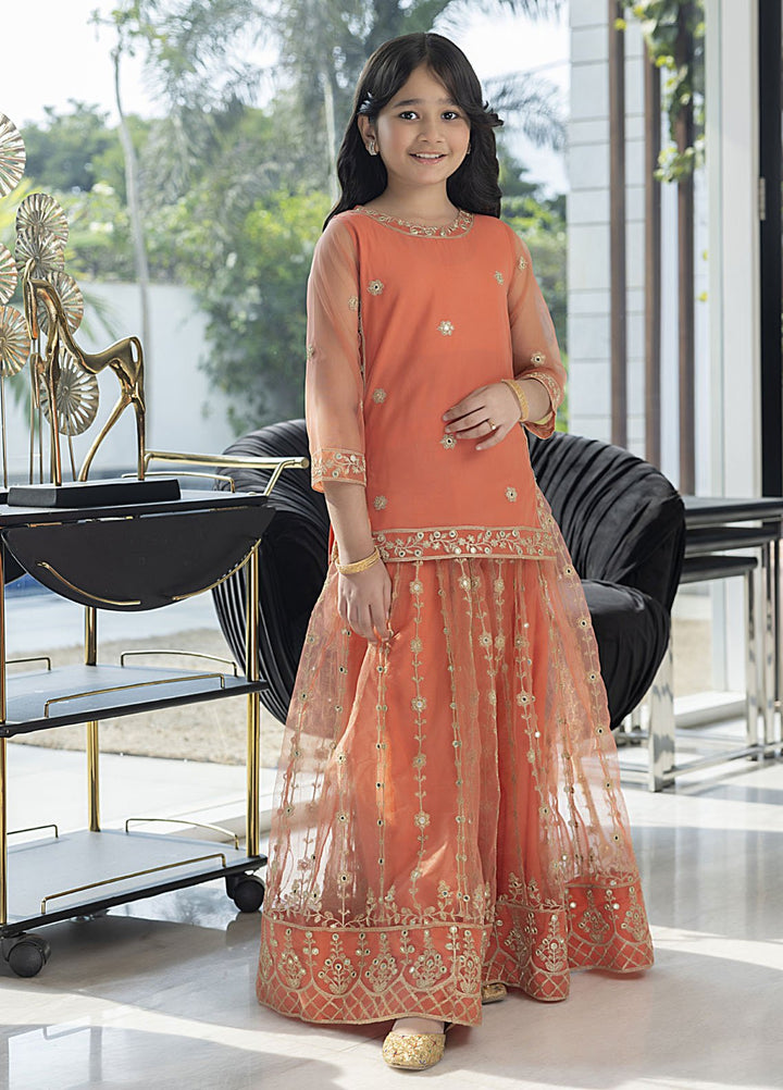 Shahzeb Textile Net Formal 2 Piece Suit for Girls -  Peach