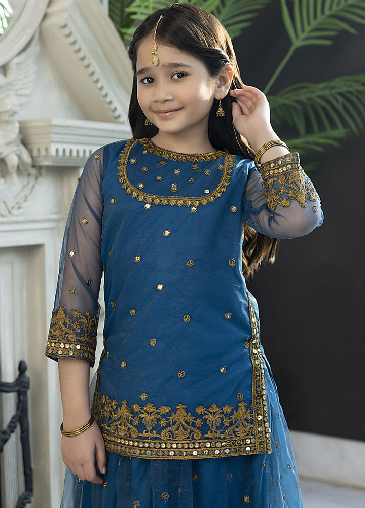 Shahzeb Textile Net Formal 2 Piece Suit for Girls -  Peacock