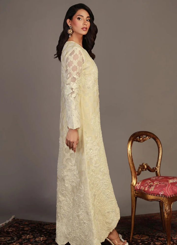 Shamaeel Ansari Pret Embroidered Self Jacquard Organza 2 Piece RV-08