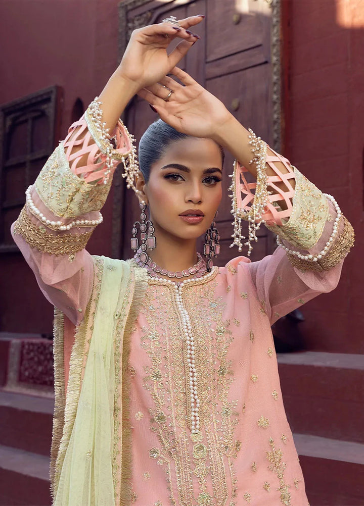 Shan e Festive by Salitex Embroidered Khaddi Net Suits Unstitched 3 Piece SUNW6JI016UT - Festive Collection