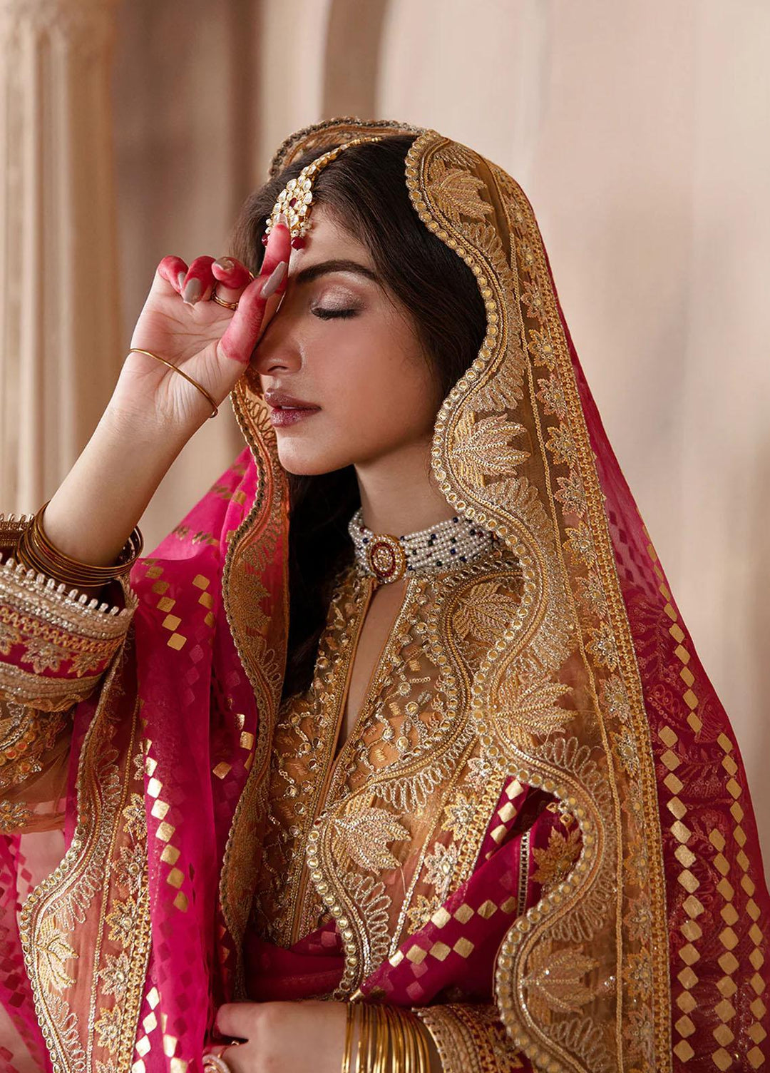 Shehnai by Afrozeh Embroidered Net Suits Unstitched 3 Piece AF23WF Zuri - Wedding Formal Collection