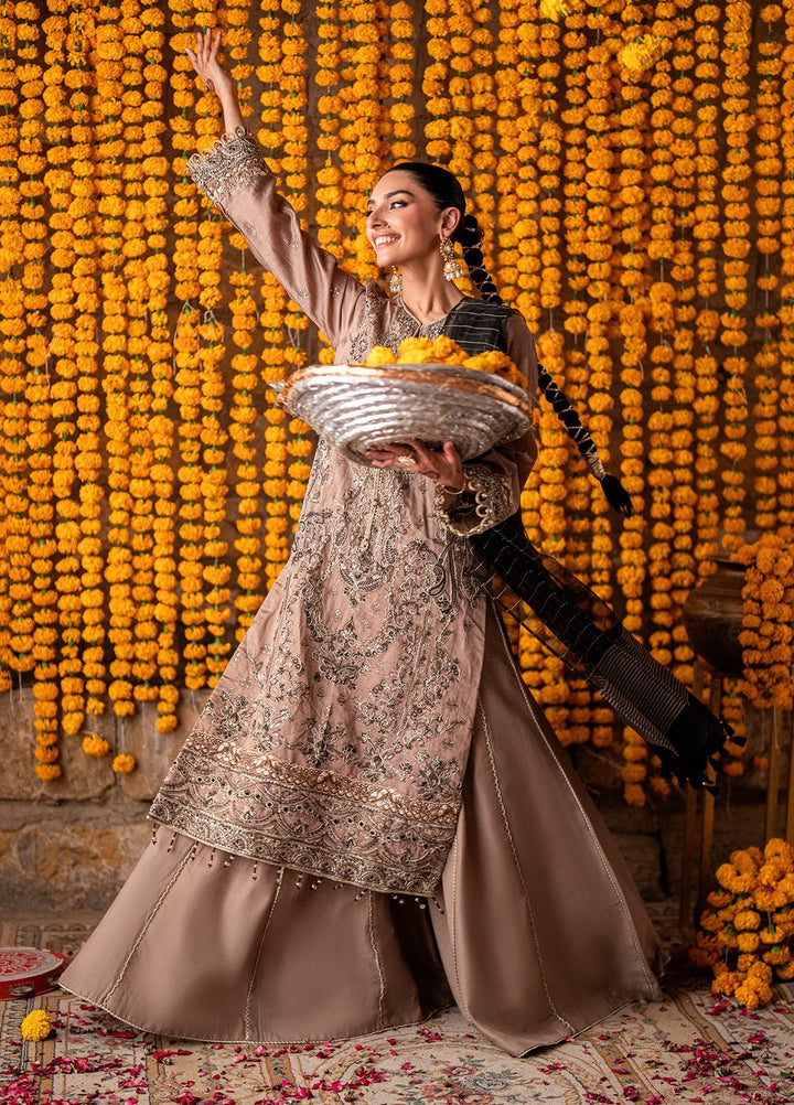 Shehnai by Salitex Embroidered Cotton Net Suits Unstitched 3 Piece SUNW6NO020UT - Festive Collection