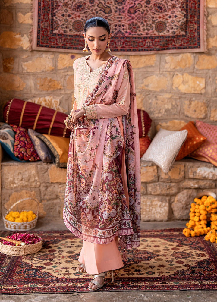 Shehnai by Salitex Embroidered Paper Cotton Suits Unstitched 3 Piece SUNW6NO027UT - Festive Collection