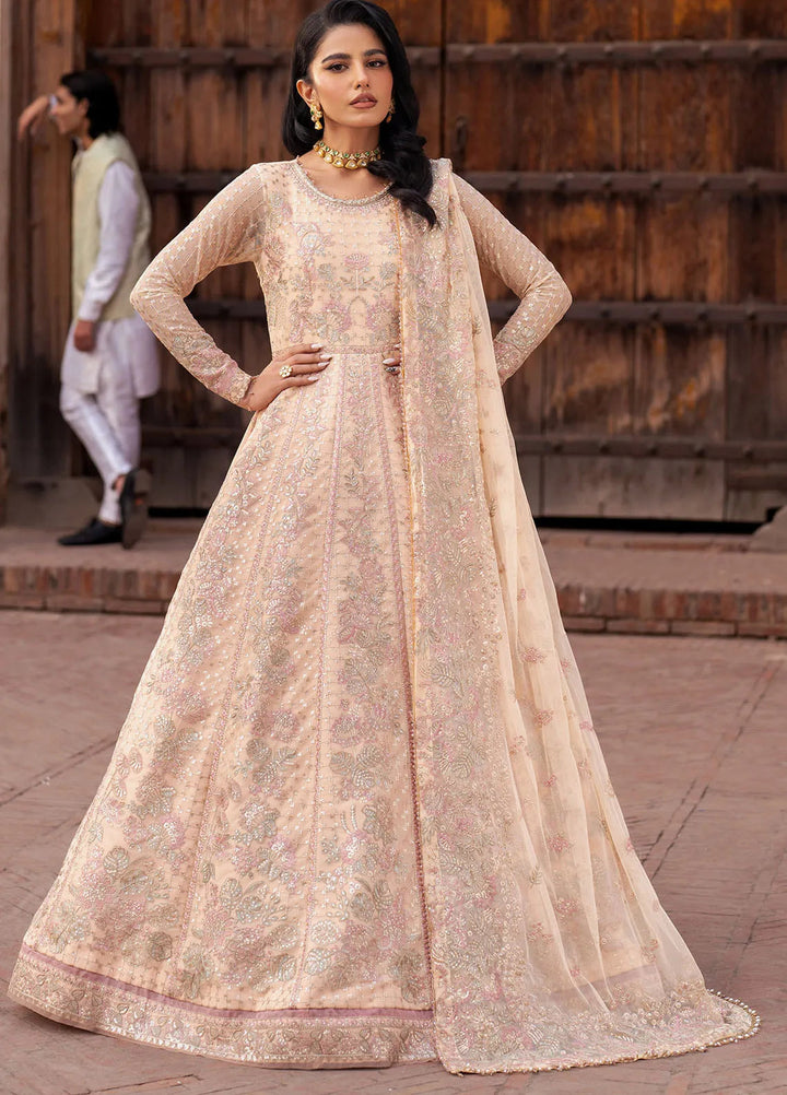 Shehnai by Zarif Embroidered Net Suit Unstitched 3 Piece ZR25UF ZS-03 Heer - Formals Collection