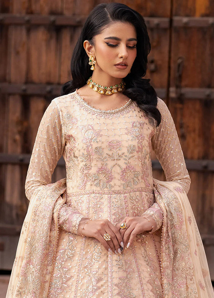 Shehnai by Zarif Embroidered Net Suit Unstitched 3 Piece ZR25UF ZS-03 Heer - Formals Collection