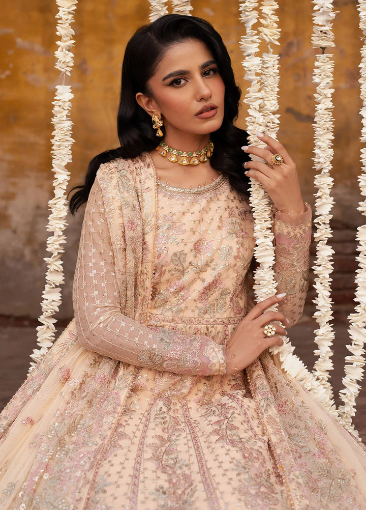 Shehnai by Zarif Embroidered Net Suit Unstitched 3 Piece ZR25UF ZS-03 Heer - Formals Collection