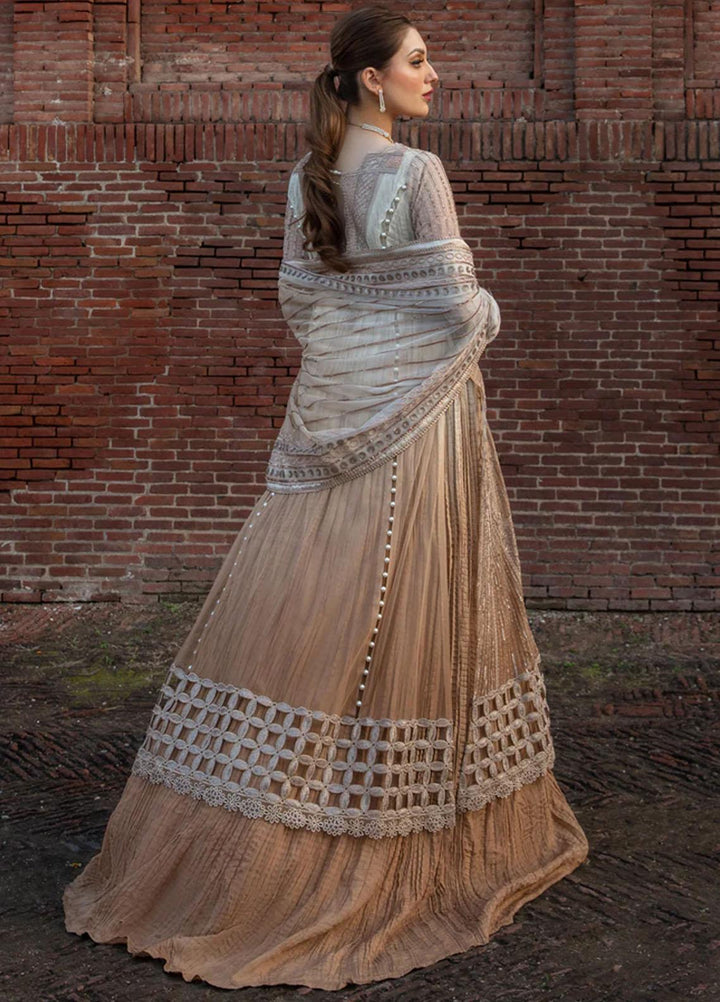 Shehnaiya By Rang Rasiya Embroidered Net Suits Unstitched 4 Piece RR23SH D-01 Roshni - Wedding Collection