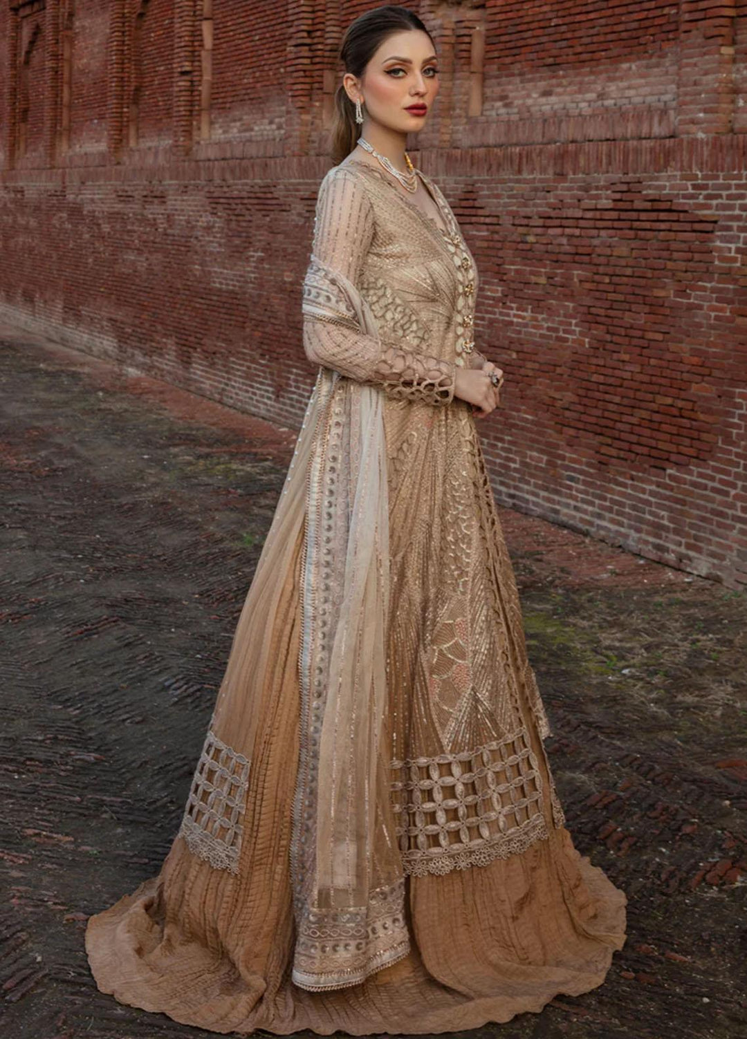 Shehnaiya By Rang Rasiya Embroidered Net Suits Unstitched 4 Piece RR23SH D-01 Roshni - Wedding Collection