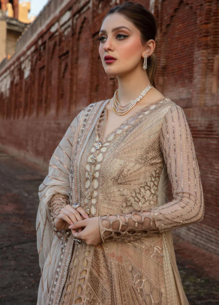Shehnaiya By Rang Rasiya Embroidered Net Suits Unstitched 4 Piece RR23SH D-01 Roshni - Wedding Collection