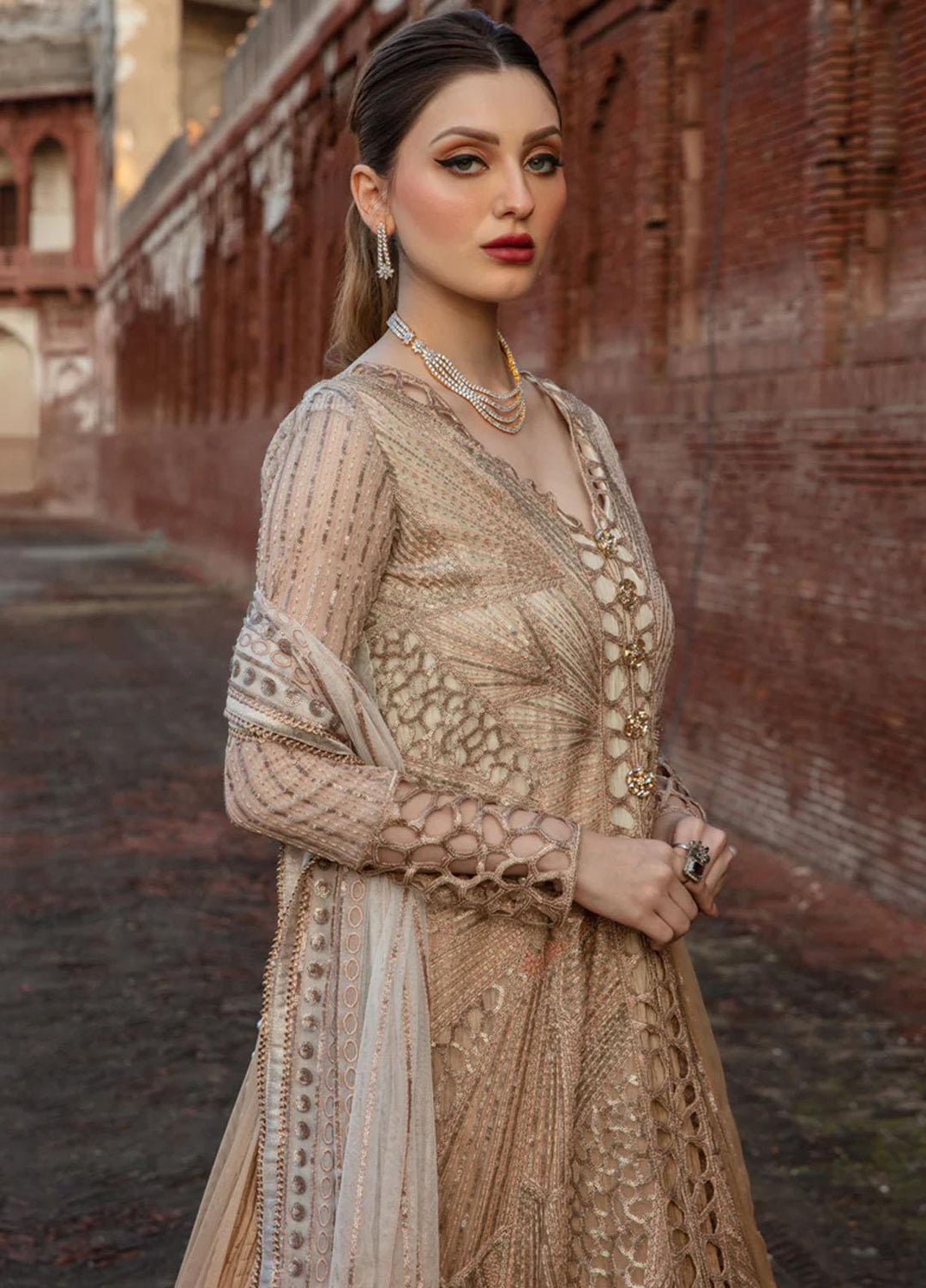 Shehnaiya By Rang Rasiya Embroidered Net Suits Unstitched 4 Piece RR23SH D-01 Roshni - Wedding Collection