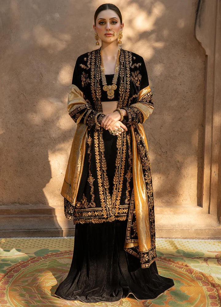 Shehnaiya By Rang Rasiya Embroidered Velvet Suits Unstitched 3 Piece RR23SH D-03 Heer - Wedding Collection