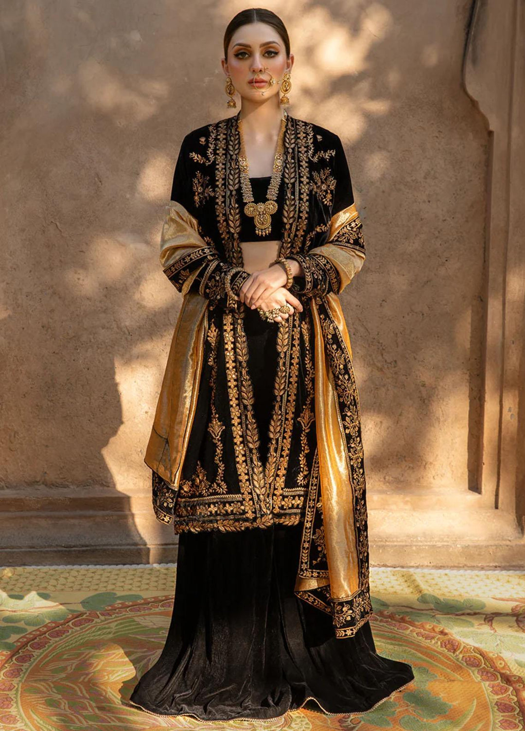 Shehnaiya By Rang Rasiya Embroidered Velvet Suits Unstitched 3 Piece RR23SH D-03 Heer - Wedding Collection
