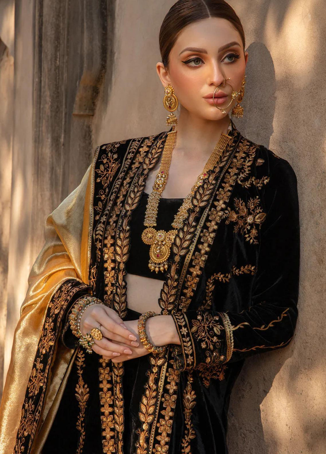 Shehnaiya By Rang Rasiya Embroidered Velvet Suits Unstitched 3 Piece RR23SH D-03 Heer - Wedding Collection