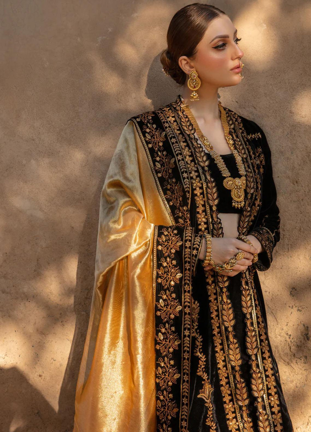 Shehnaiya By Rang Rasiya Embroidered Velvet Suits Unstitched 3 Piece RR23SH D-03 Heer - Wedding Collection