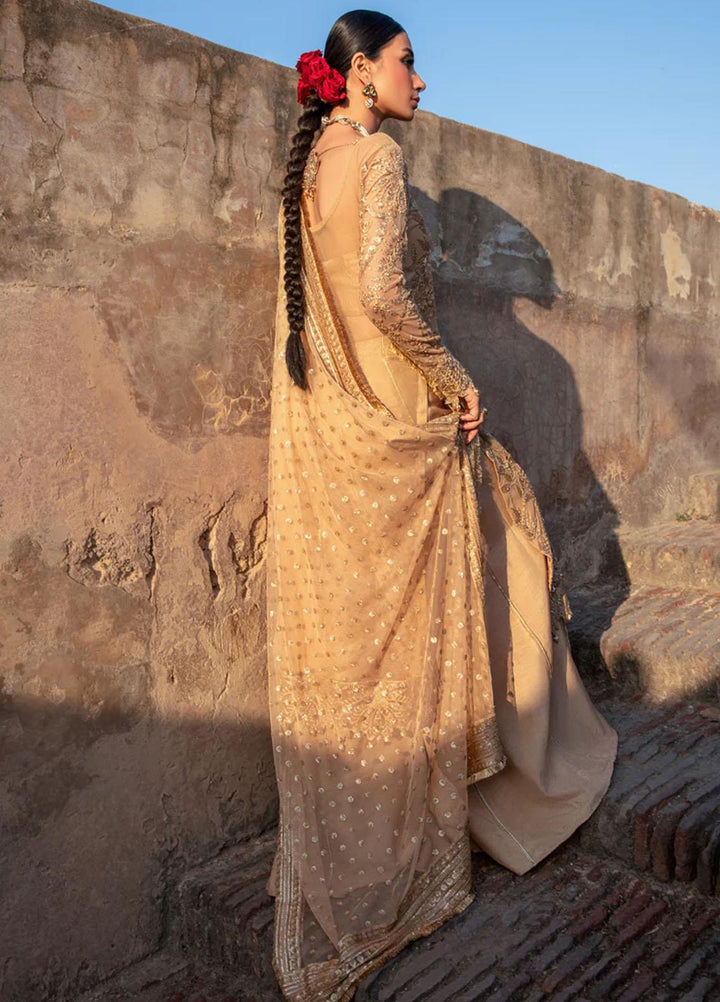 Shehnaiya By Rang Rasiya Embroidered Net Suits Unstitched 4 Piece RR23SH D-07 Zulaykha - Wedding Collection