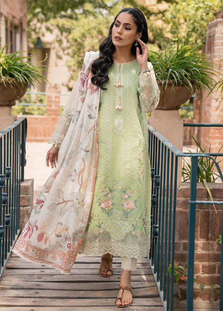 Shezlin By Aabyaan Embroidered Chikankari Suits Unstitched 3 Piece ABY23S AC-08 Nehal - Summer Collection
