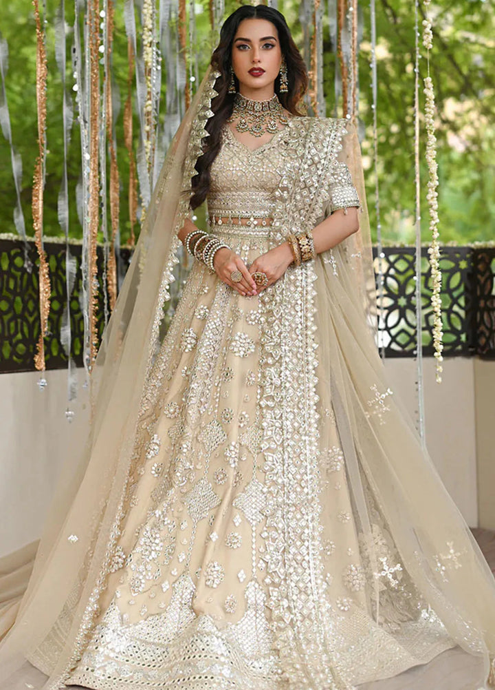 Singhar By Qalamkar Embroidered Net Suit Unstitched 3 Piece QLM24SW RF-06 Roop - Luxury Collection