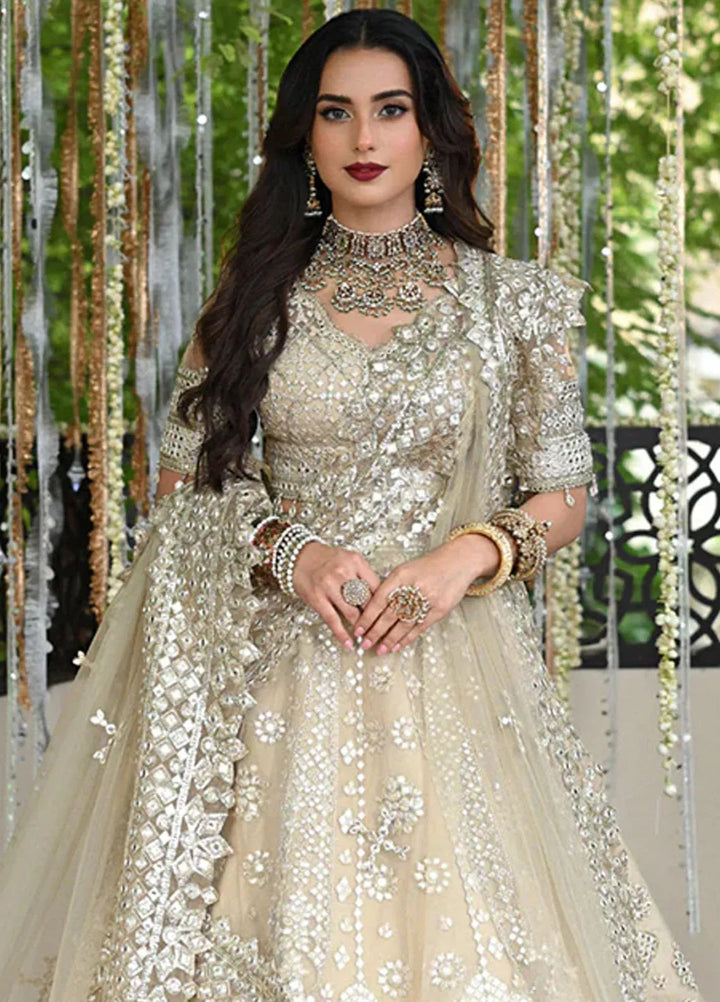 Singhar By Qalamkar Embroidered Net Suit Unstitched 3 Piece QLM24SW RF-06 Roop - Luxury Collection