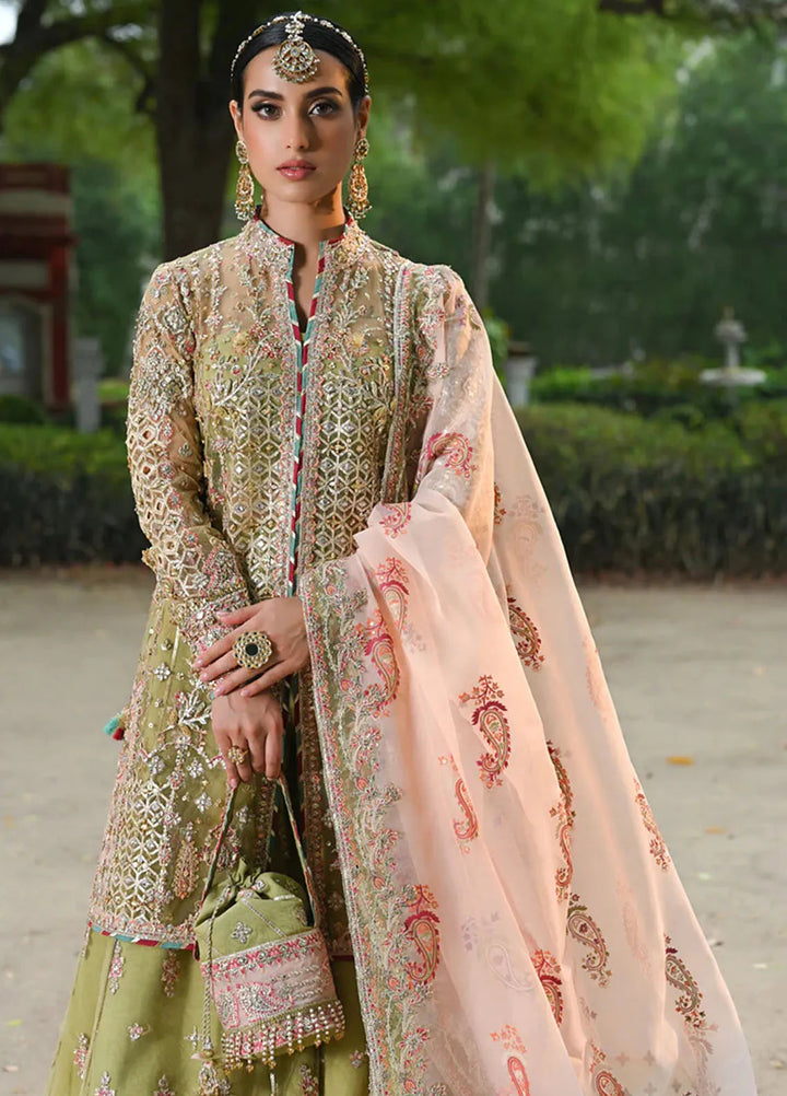 Singhar By Qalamkar Embroidered Net Suit Unstitched 3 Piece QLM24SW RF-07 Halena - Luxury Collection