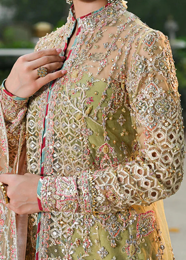 Singhar By Qalamkar Embroidered Net Suit Unstitched 3 Piece QLM24SW RF-07 Halena - Luxury Collection