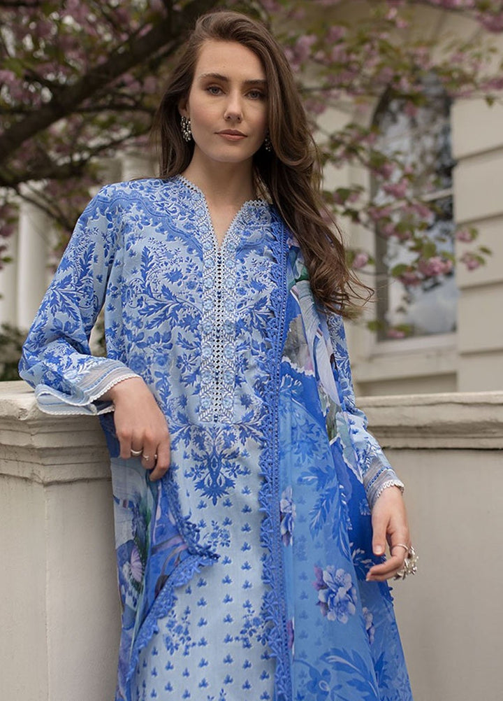 SN Basics by Sobia Nazir Embroidered Lawn Suits Unstitched 3 Piece SN25SB D-1 B - Summer Collection