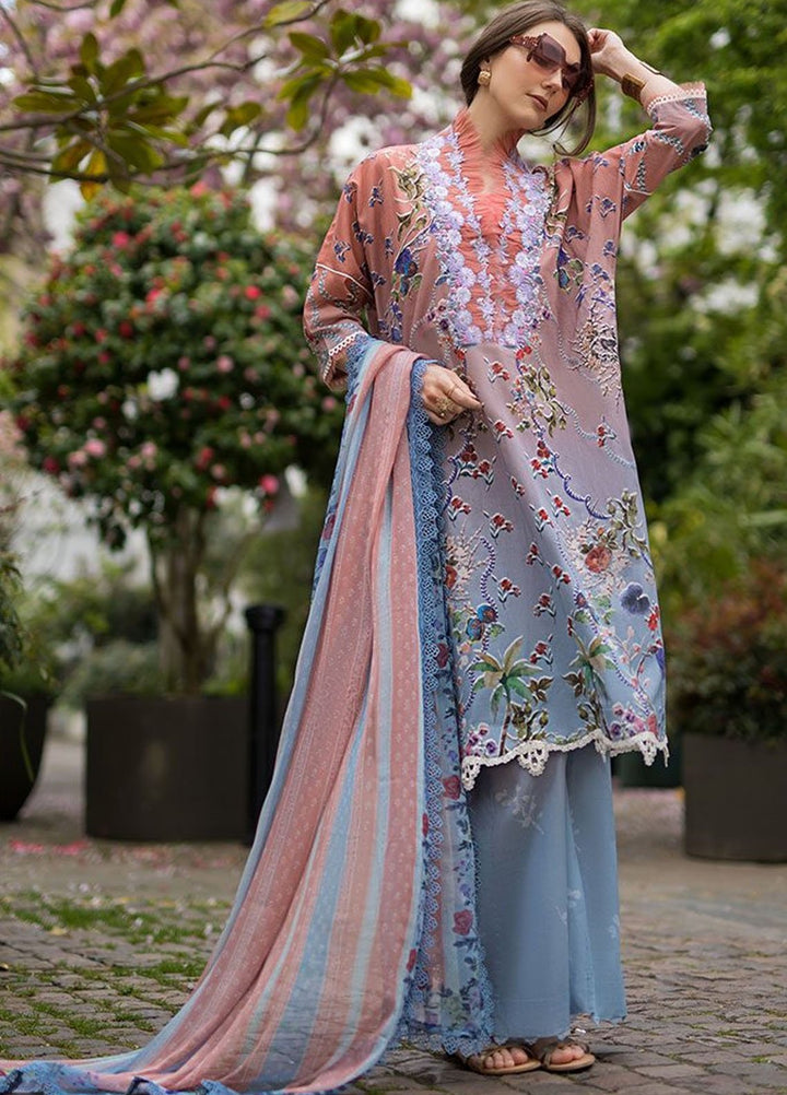SN Basics by Sobia Nazir Embroidered Lawn Suits Unstitched 3 Piece SN25SB D-2 A - Summer Collection