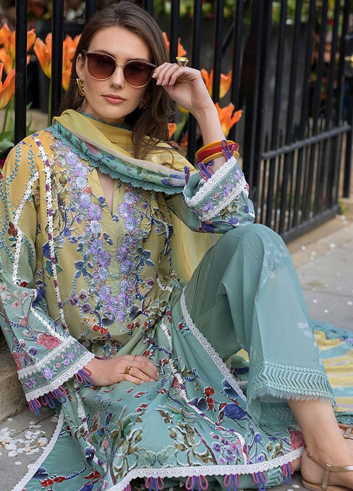 SN Basics by Sobia Nazir Embroidered Lawn Suits Unstitched 3 Piece SN25SB D-2 B - Summer Collection