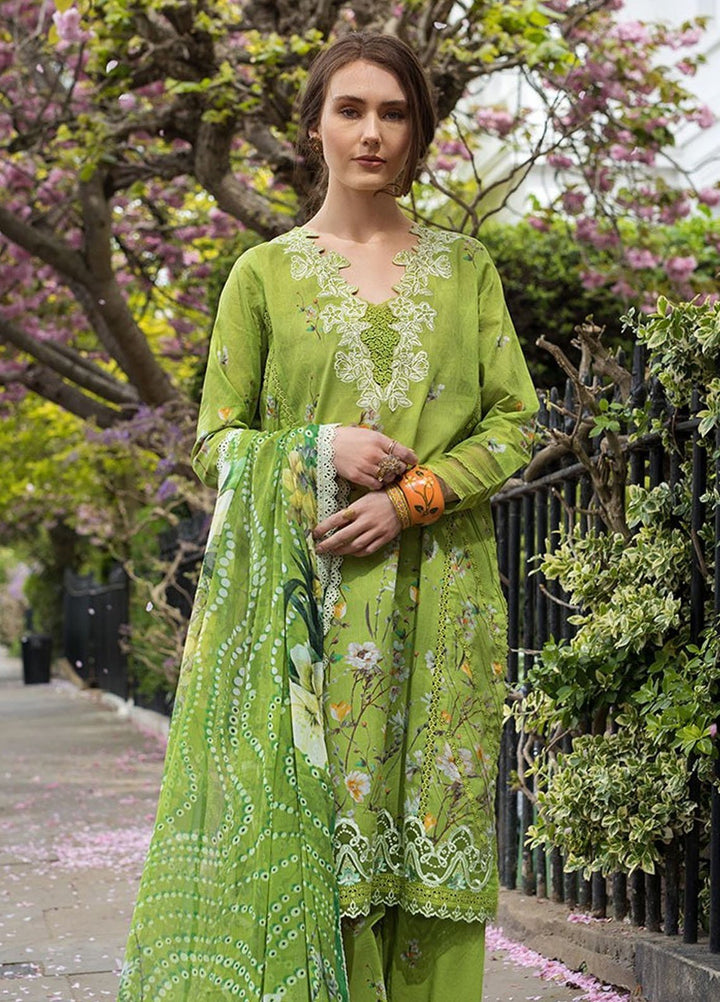SN Basics by Sobia Nazir Embroidered Lawn Suits Unstitched 3 Piece SN25SB D-3 A - Summer Collection