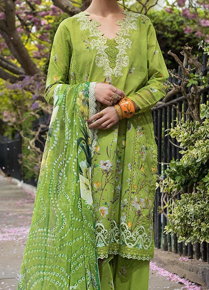 SN Basics by Sobia Nazir Embroidered Lawn Suits Unstitched 3 Piece SN25SB D-3 A - Summer Collection