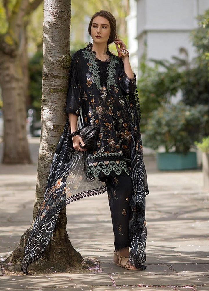 SN Basics by Sobia Nazir Embroidered Lawn Suits Unstitched 3 Piece SN25SB D-3 B - Summer Collection