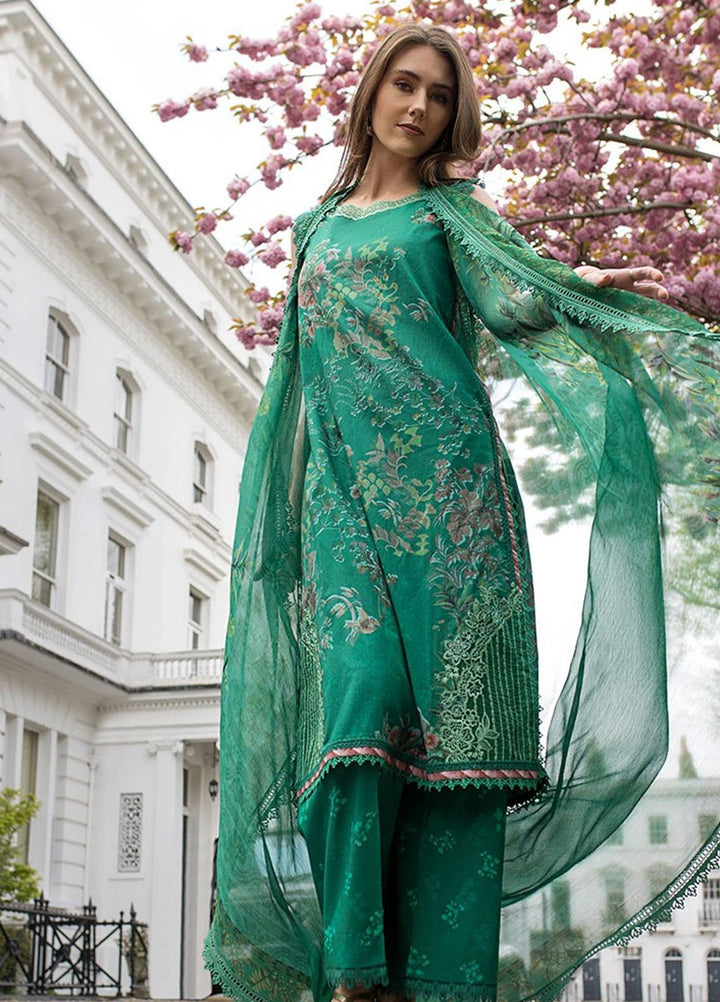 SN Basics by Sobia Nazir Embroidered Lawn Suits Unstitched 3 Piece SN25SB D- 5 B - Summer Collection
