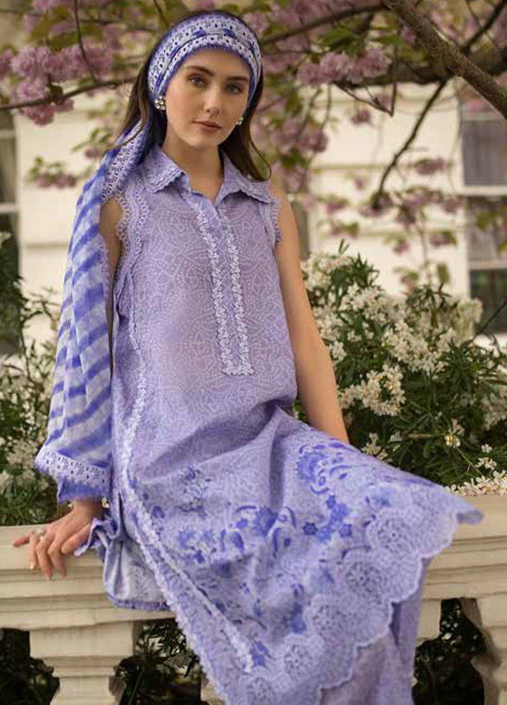 SN Basics by Sobia Nazir Embroidered Lawn Suits Unstitched 3 Piece SN25SB D-7 A - Summer Collection