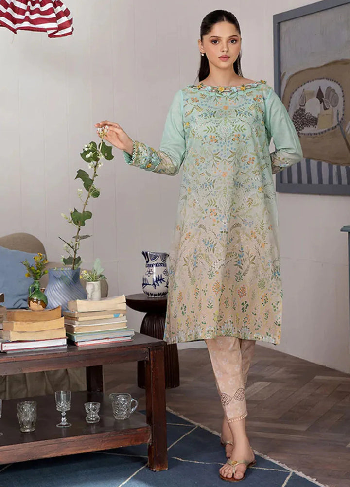Sobia Nazir Basic Embroidered Lawn Suit Unstitched 2 Piece SN24B 2B - Summer Collection