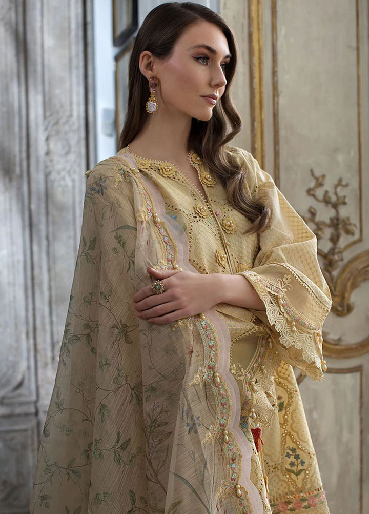 Sobia Nazir Embroidered Lawn Suits Unstitched 3 Piece SN24LL 2B - Luxury Summer Collection
