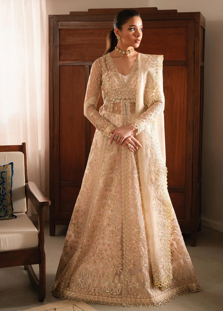 Solene By Ayzel Embroidered Organza Suit Unstitched 3 Piece AAF24SF D-05 Linnea - Formal Collection