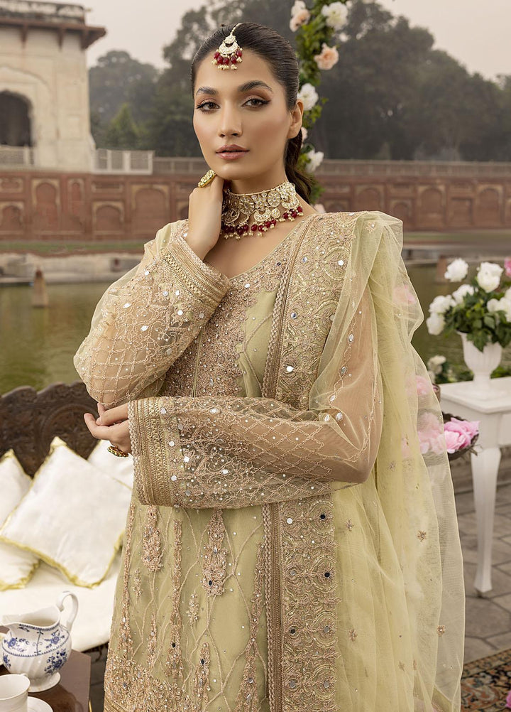 Sonia Umer by Shahzeb Textiles Embroidered Net Suits Unstitched 3 Piece ST22SU Minty Green - Wedding Collection