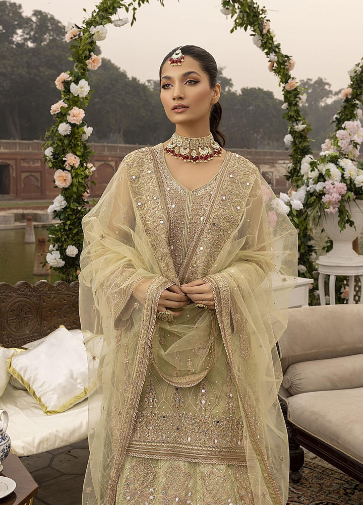 Sonia Umer by Shahzeb Textiles Embroidered Net Suits Unstitched 3 Piece ST22SU Minty Green - Wedding Collection
