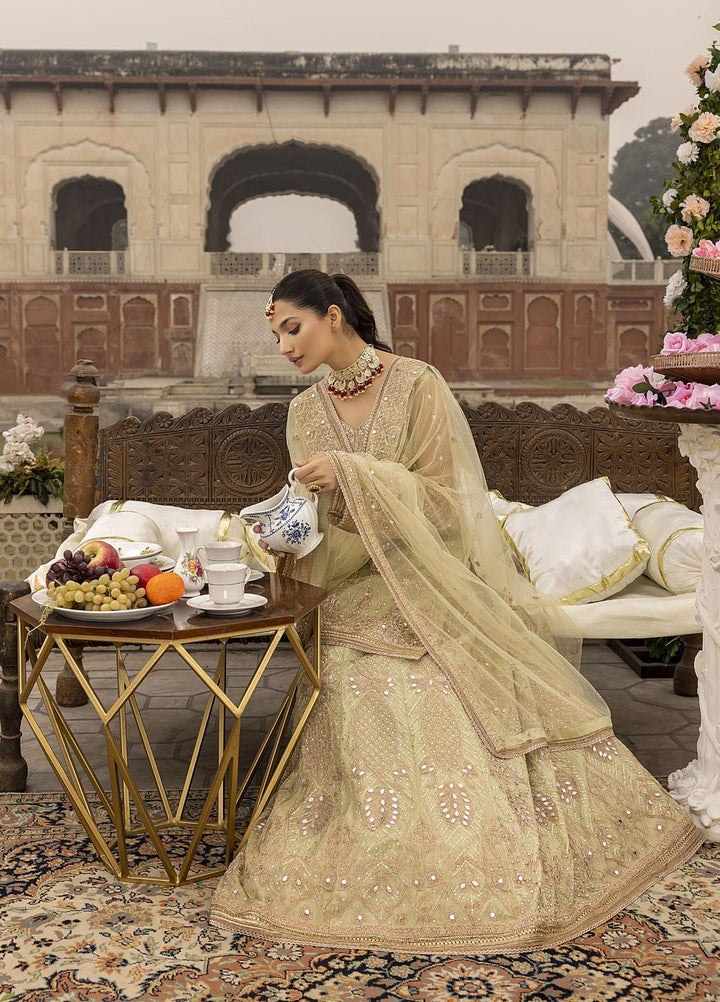 Sonia Umer by Shahzeb Textiles Embroidered Net Suits Unstitched 3 Piece ST22SU Minty Green - Wedding Collection